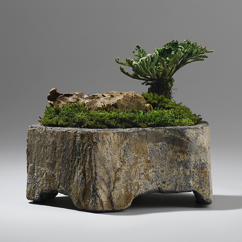 Bonsai Garden Chinese Garden - Basalt natuursteen bloempot handgemaakte succulenten plantenbak