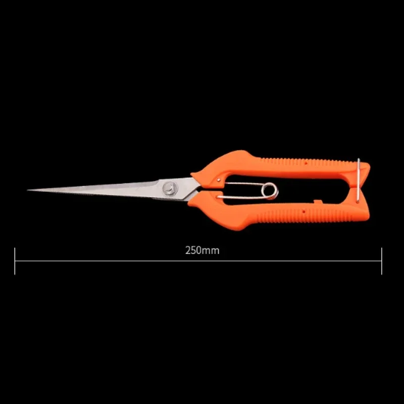 Uitgebreide Pro Tuin Snoeischa - Bonsai Garden Knife recensie en prijs
