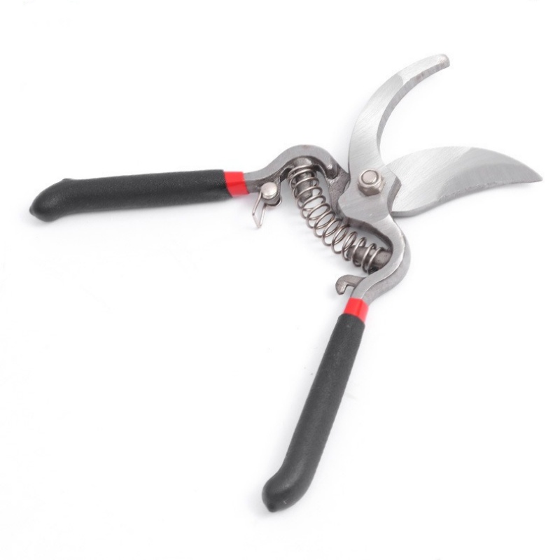Snoeischaar Tuinschaar Entgere - Bonsai Garden Knife recensie en prijs
