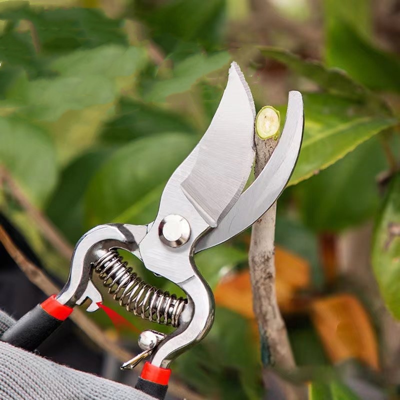 Snoeischaar Tuinschaar Entgere - Bonsai Garden Knife recensie en prijs