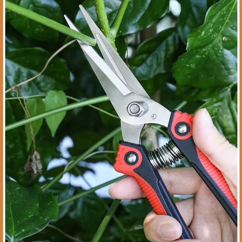 NEWSHARK Roestvrijstalen snoei - Bonsai Garden Knife recensie en prijs