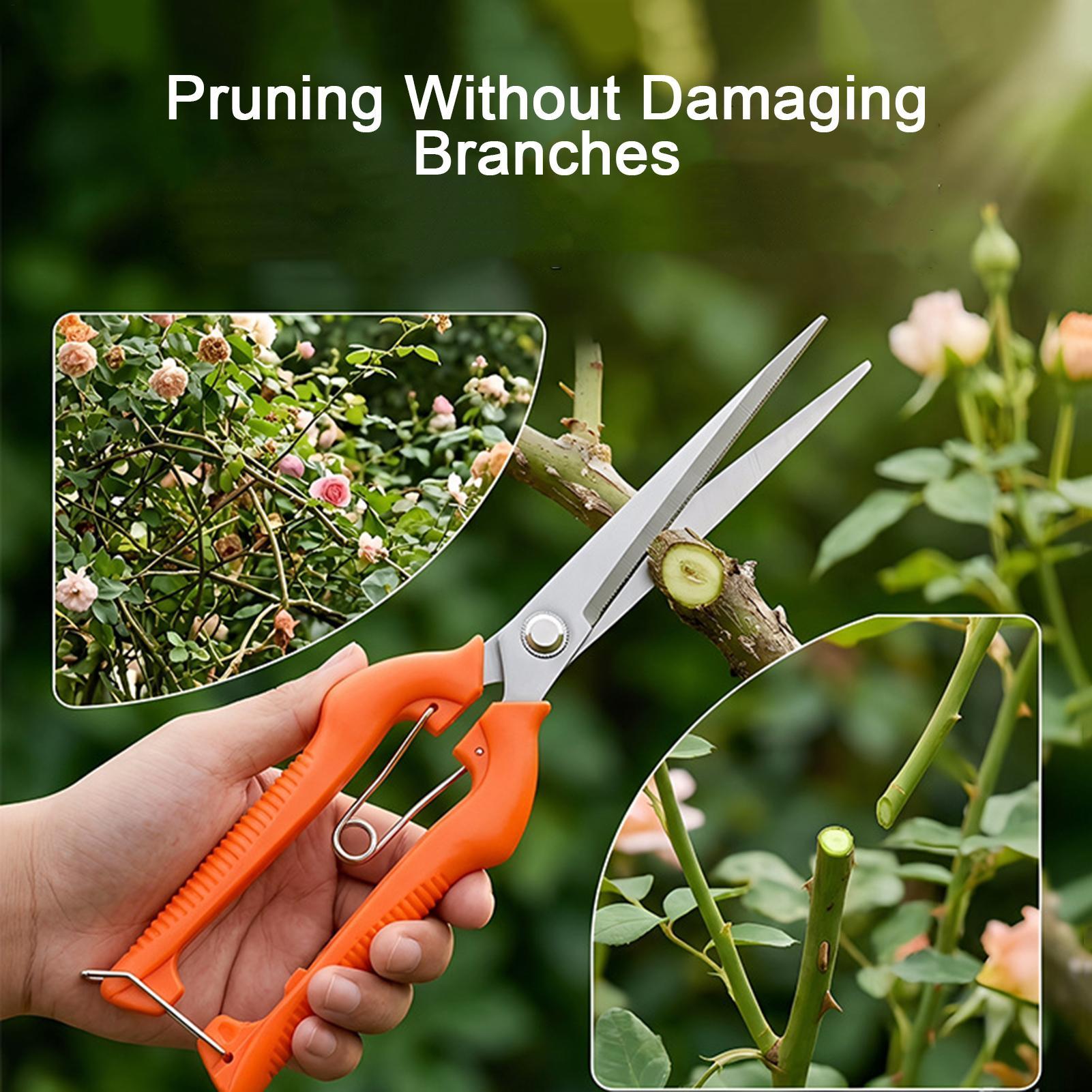 Snoeischaar Druivenschaar Tuin - Bonsai Garden Knife recensie en prijs