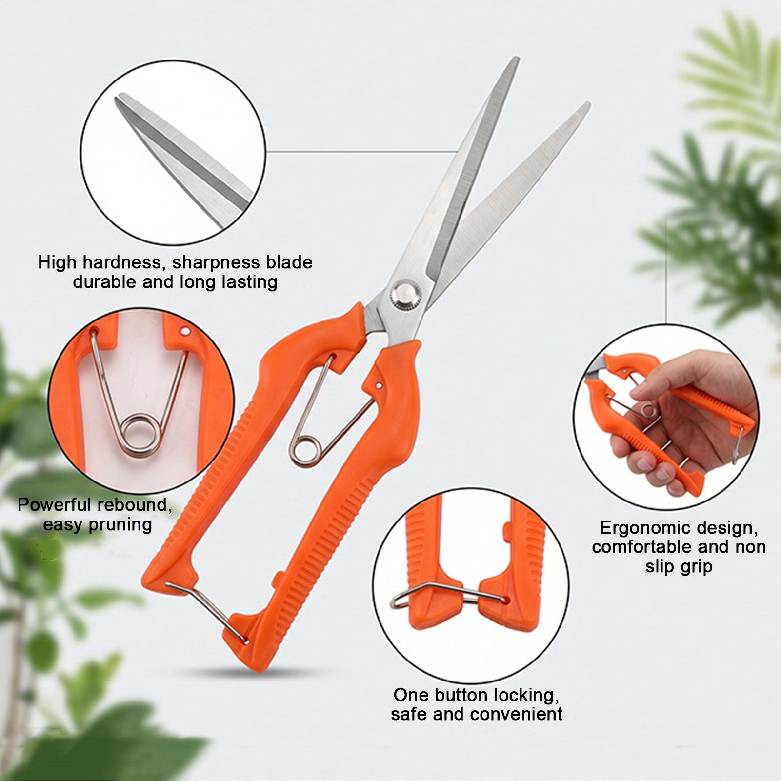 Snoeischaar Druivenschaar Tuin - Bonsai Garden Knife recensie en prijs