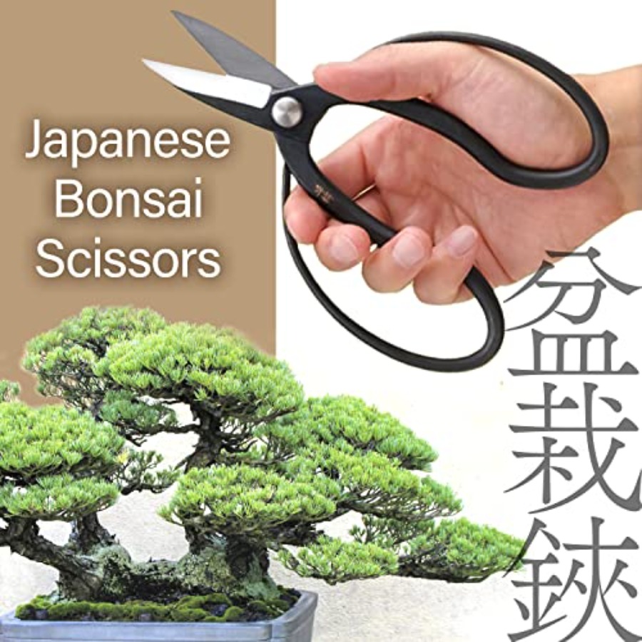 Japanse Suiryu Bonsai-schaar - - Bonsai Garden In Japan recensie en prijs