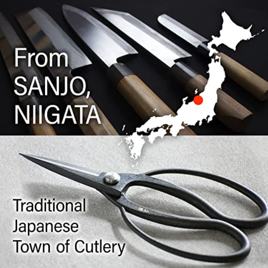 Japanse Suiryu Bonsai-schaar - - Bonsai Garden In Japan recensie en prijs