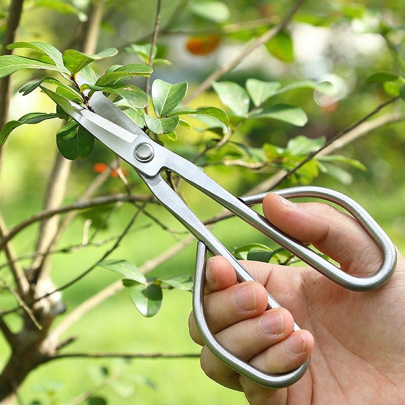Tender Leaf Schaar Bonsai Gere - Bonsai Garden Knife recensie en prijs