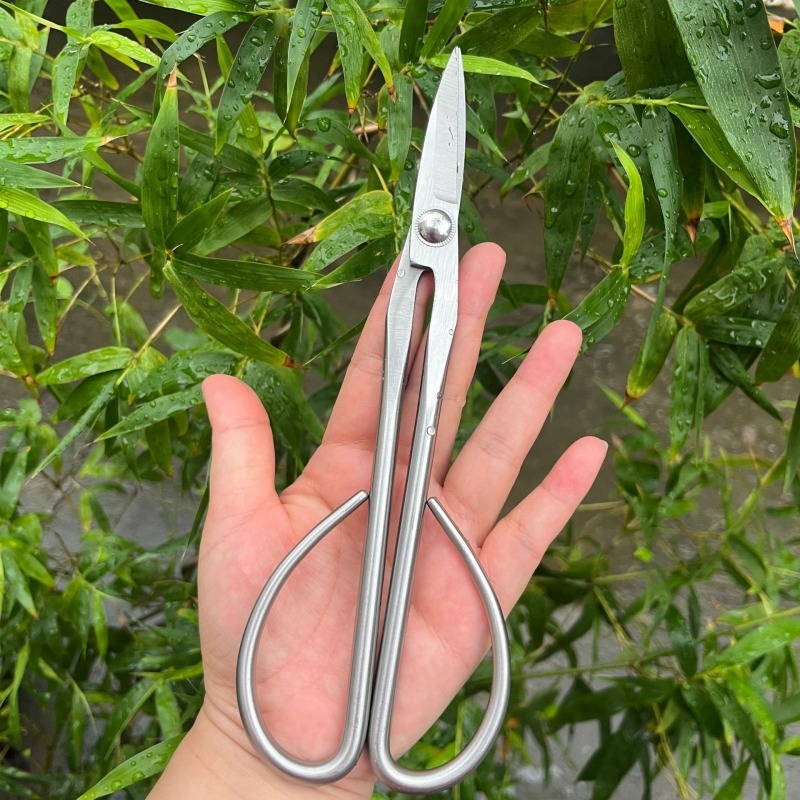 Tender Leaf Schaar Bonsai Gere - Bonsai Garden Knife recensie en prijs