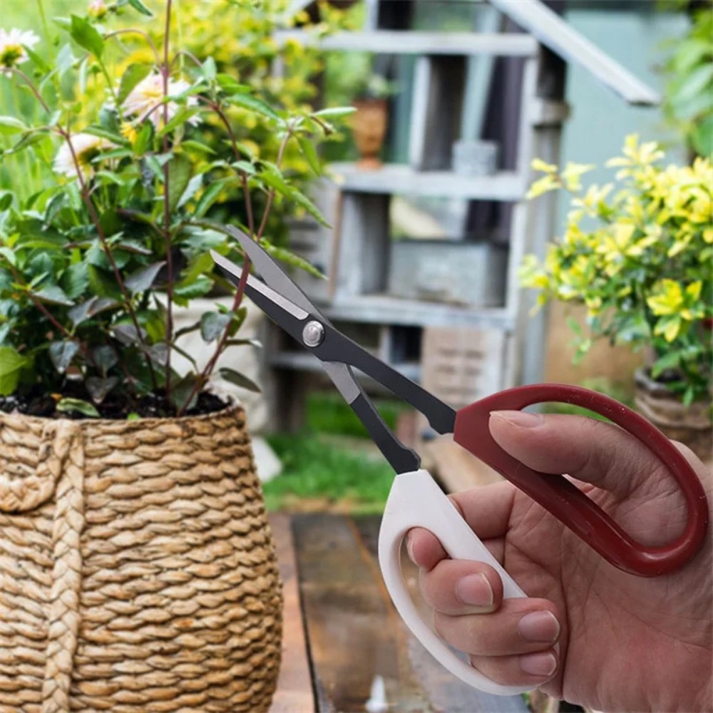 Bonsai Gereedschap Schaar Met  - Bonsai Garden Knife recensie en prijs
