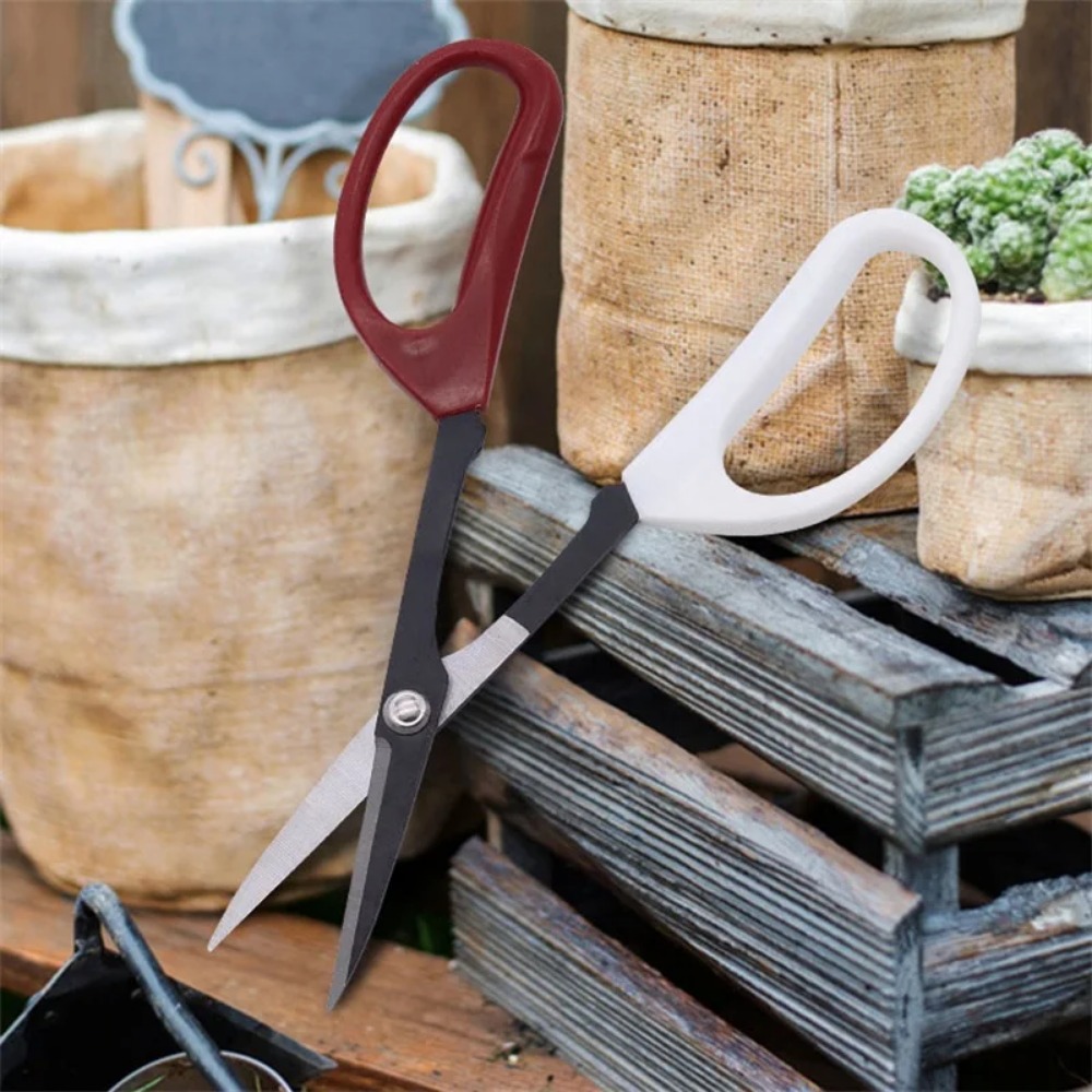 Bonsai Gereedschap Schaar Met  - Bonsai Garden Knife recensie en prijs