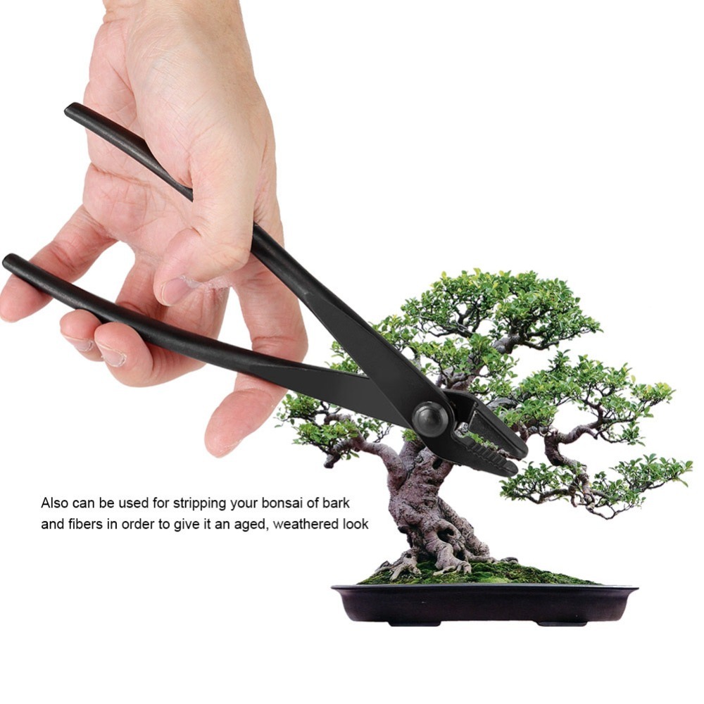 Professionele Bonsai-draadtang - Bonsai Garden Knife recensie en prijs