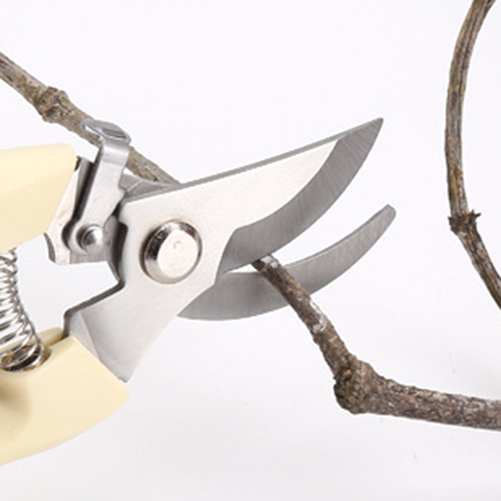 Snoeischaar Handgereedschap Bo - Bonsai Garden Knife recensie en prijs